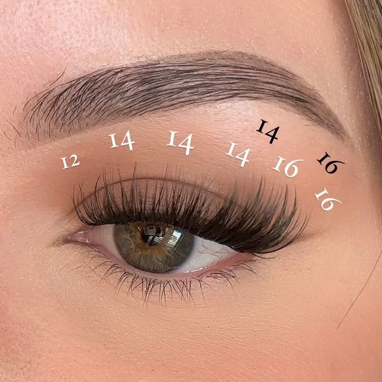 First Class Pre-Cut Lash Clusters