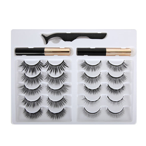 Litzi Magnetic Eyeliner & Eyelash Kit