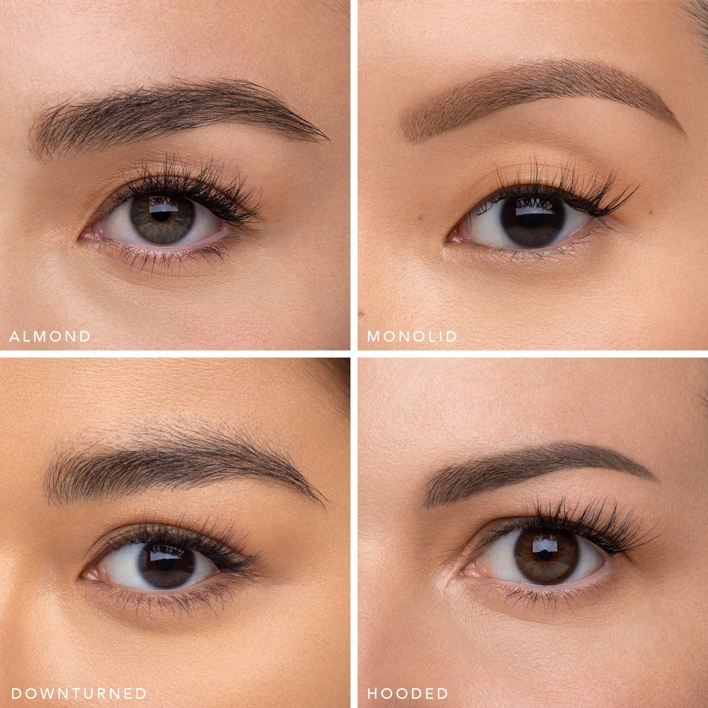 The Muse - Half Lash