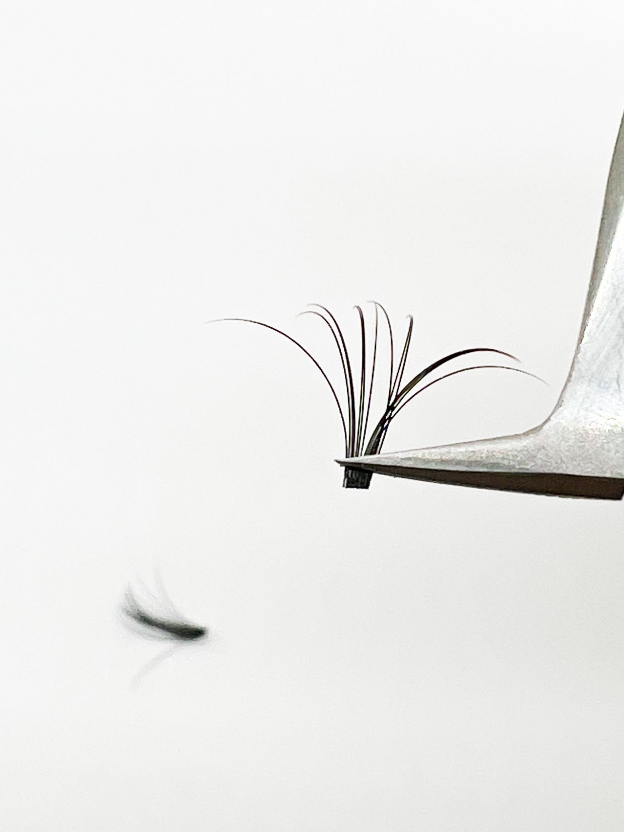 VIP Quick Fan Lashes DD 05 & DD 07, CC 05 & CC 07