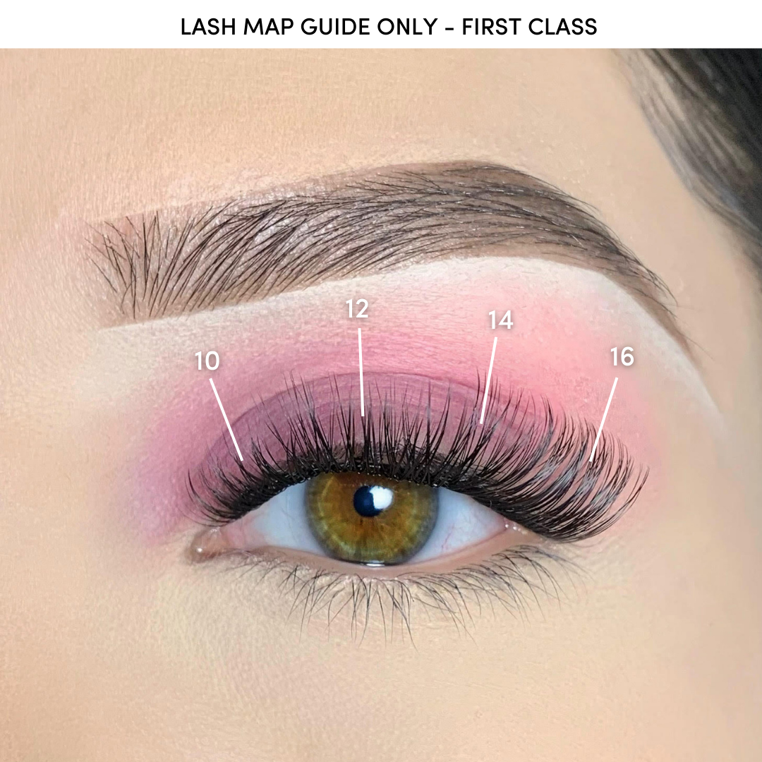 First Class Pre-Cut Lash Clusters