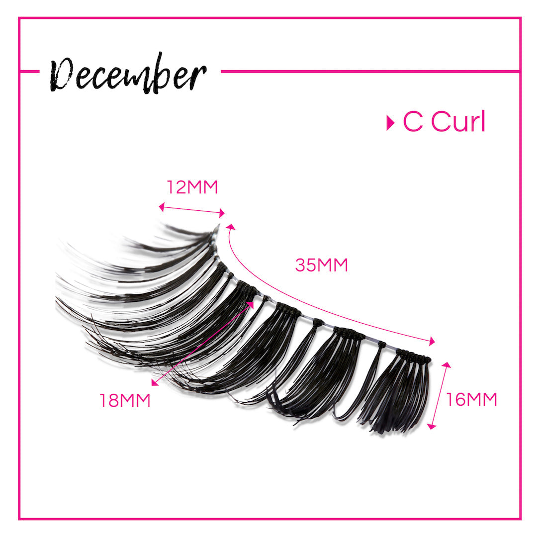 GladGirl False Lash Kit - December