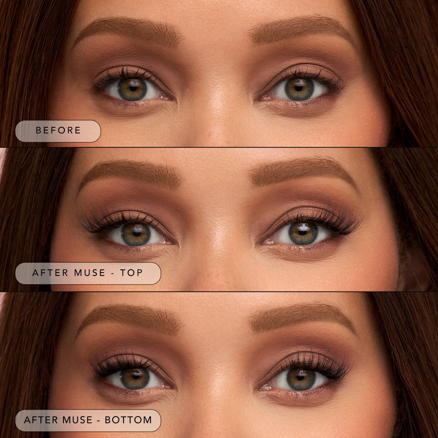 The Muse - Half Lash
