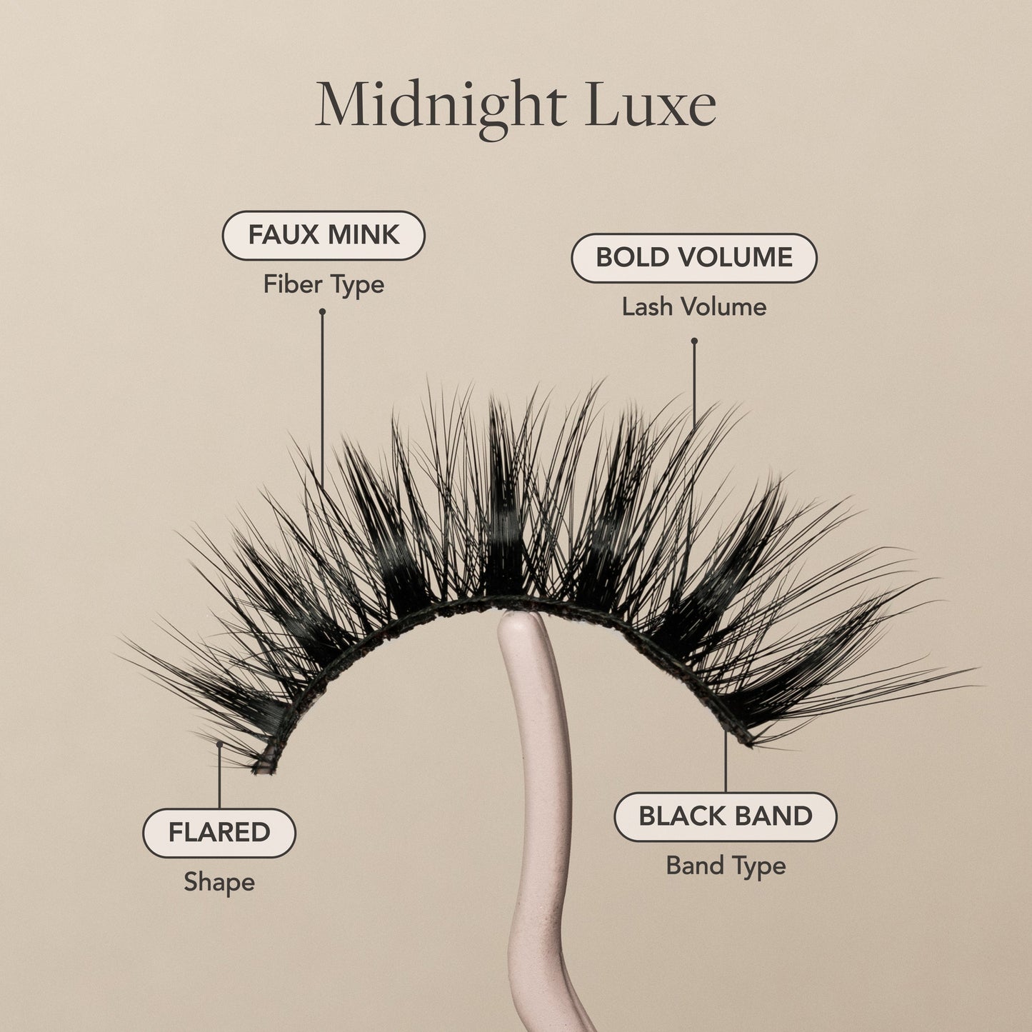 Midnight Luxe
