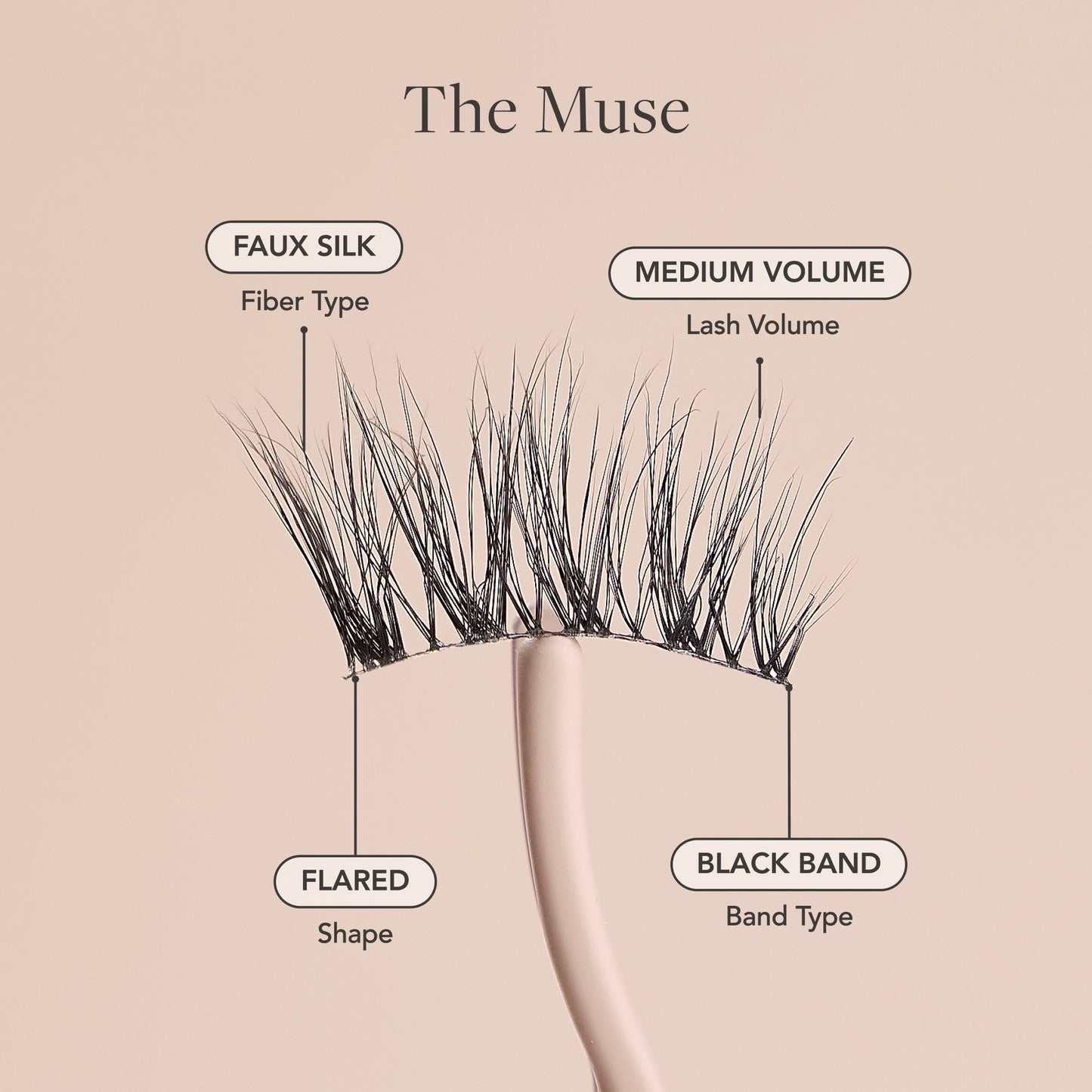 The Muse - Half Lash
