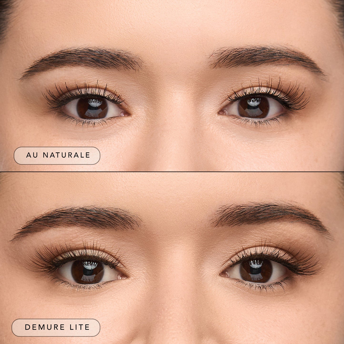 Lash Essentials Set