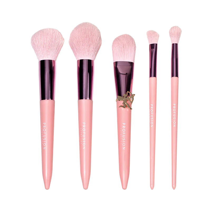 Struck By Love 5 PC Face & Eye Brush Set