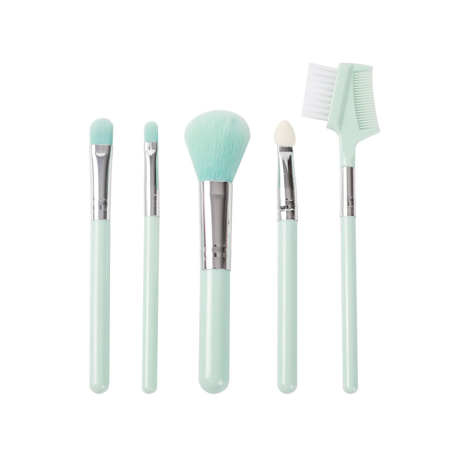 Travel Makeup Brush: 5PCS Set