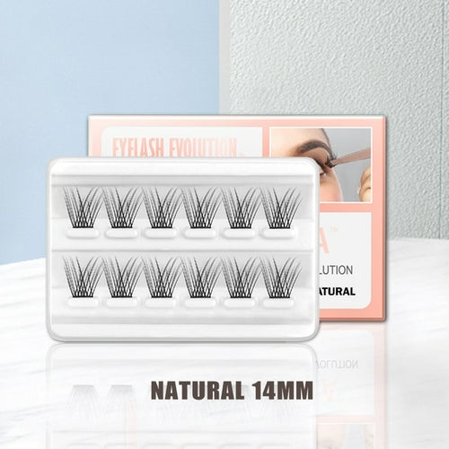 Complete DIY Eyelash Extension Kit